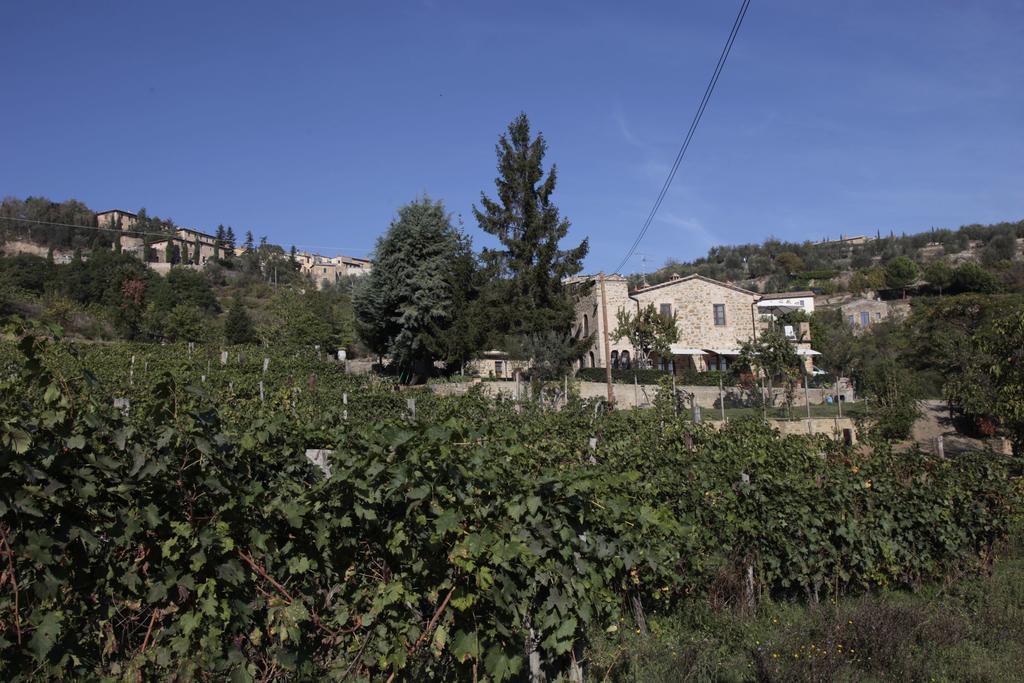 Azienda Agraria La Casella Montalcino Luaran gambar