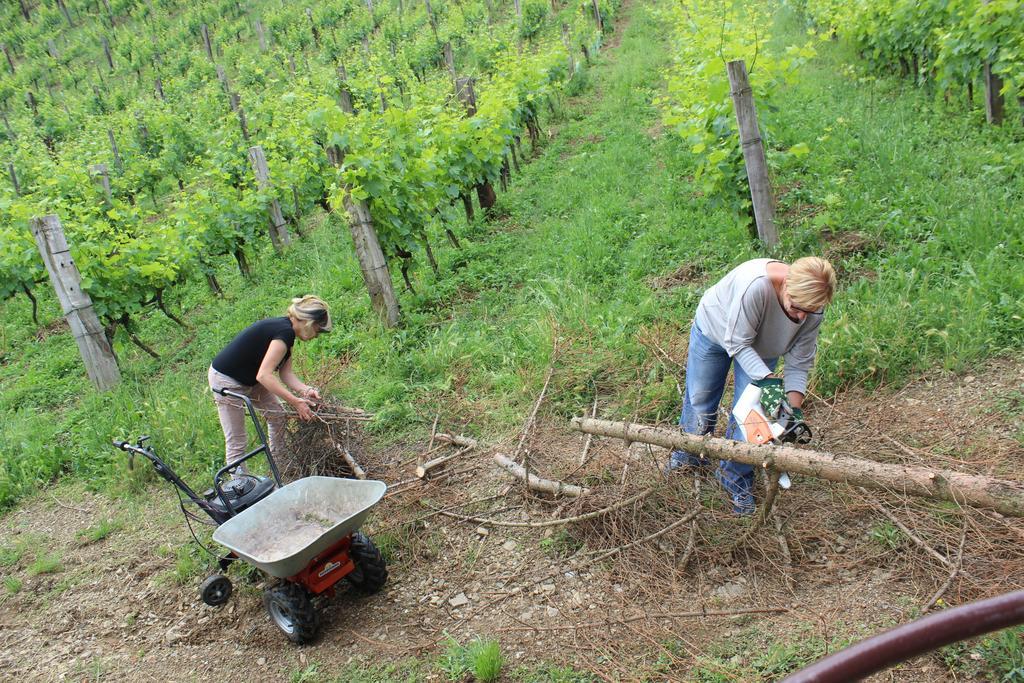 Azienda Agraria La Casella Montalcino Luaran gambar