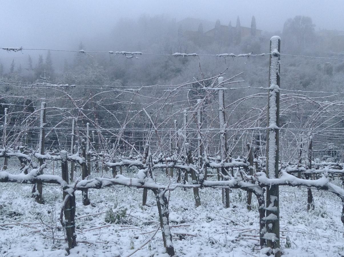 Azienda Agraria La Casella Montalcino Luaran gambar