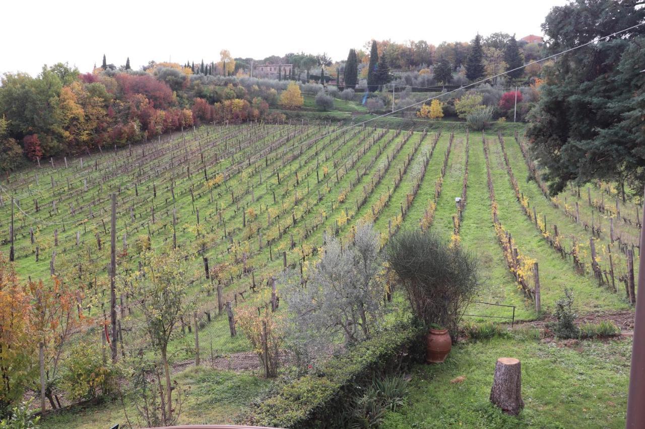 Azienda Agraria La Casella Montalcino Luaran gambar